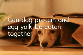 Can dog protein and egg yolk be eaten together?