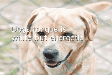 Dog's tongue is white but energetic