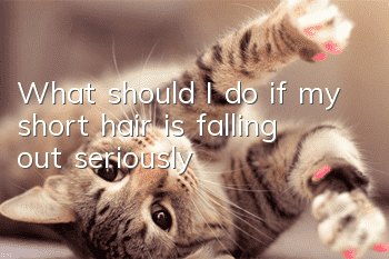 What should I do if my short hair is falling out seriously?