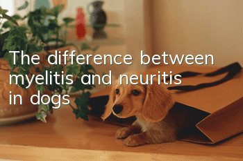 The difference between myelitis and neuritis in dogs