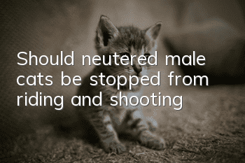 Should neutered male cats be stopped from riding and shooting?