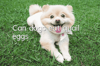 Can dogs eat quail eggs?