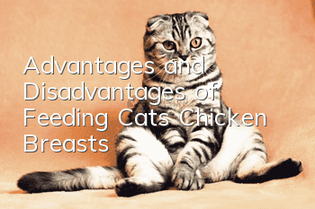 Advantages and Disadvantages of Feeding Cats Chicken Breasts