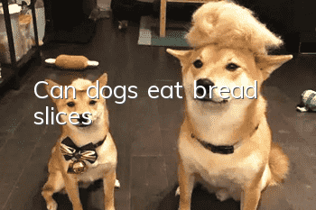 Can dogs eat bread slices?