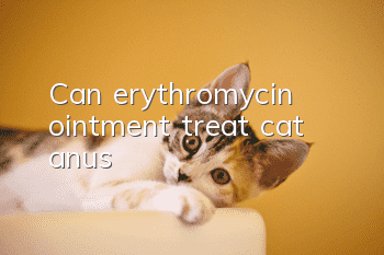 Can erythromycin ointment treat cat anus?