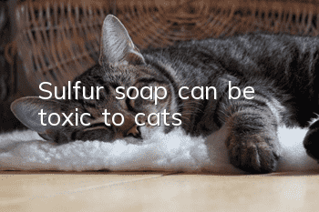 Sulfur soap can be toxic to cats
