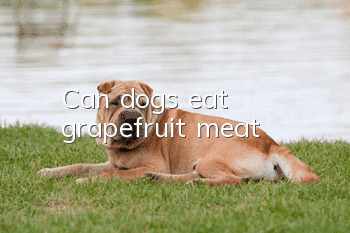 Can dogs eat grapefruit meat?