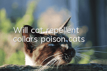 Will cat repellent collars poison cats?