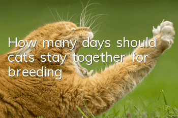 How many days should cats stay together for breeding?