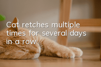 Cat retches multiple times for several days in a row
