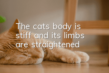 The cat's body is stiff and its limbs are straightened