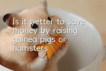 Is it better to save money by raising guinea pigs or hamsters?