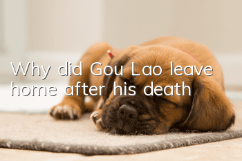 Why did Gou Lao leave home after his death?