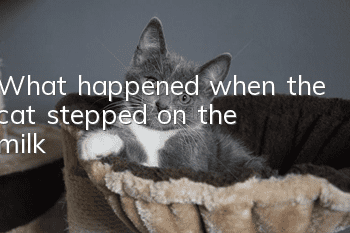 What happened when the cat stepped on the milk?