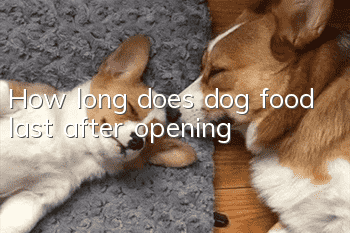 How long does dog food last after opening?