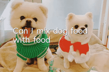 Can I mix dog food with food?