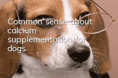 Common sense about calcium supplementation for dogs