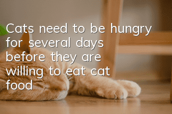 Cats need to be hungry for several days before they are willing to eat cat food