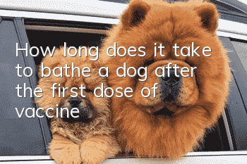How long does it take to bathe a dog after the first dose of vaccine?