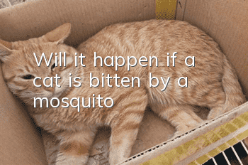 Will it happen if a cat is bitten by a mosquito?