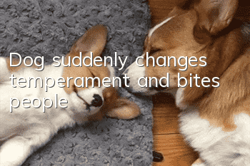 Dog suddenly changes temperament and bites people