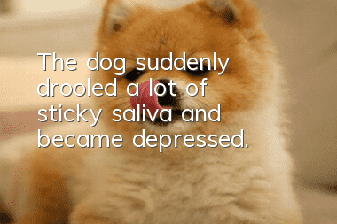 The dog suddenly drooled a lot of sticky saliva and became depressed.