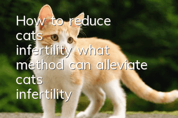 How to reduce cat's infertility, what method can alleviate cat's infertility?