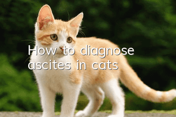 How to diagnose ascites in cats