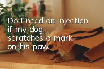 Do I need an injection if my dog scratches a mark on his paw?