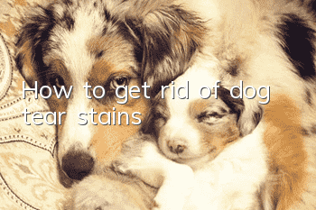 How to get rid of dog tear stains