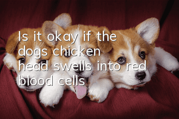 Is it okay if the dog's chicken head swells into red blood cells?