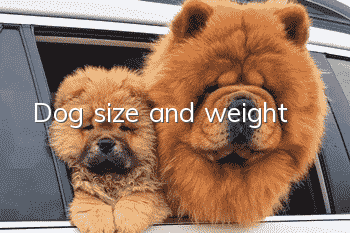 Dog size and weight