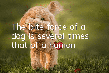 The bite force of a dog is several times that of a human