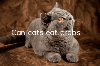 Can cats eat crabs?