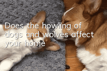 Does the howling of dogs and wolves affect your home?