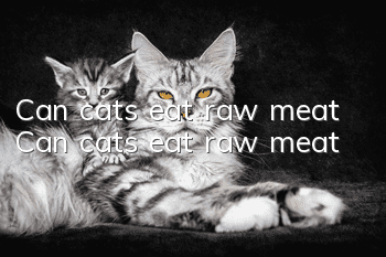 Can cats eat raw meat? Can cats eat raw meat?