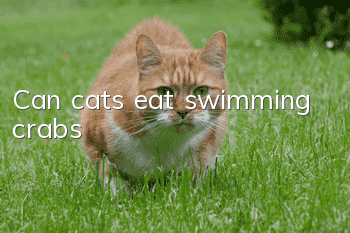 Can cats eat swimming crabs?