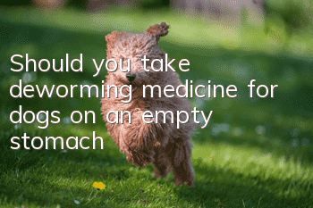 Should you take deworming medicine for dogs on an empty stomach?