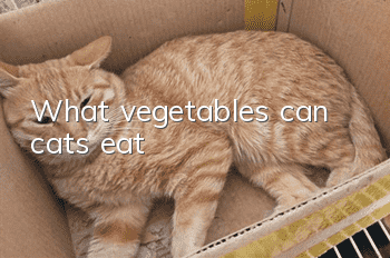 What vegetables can cats eat?