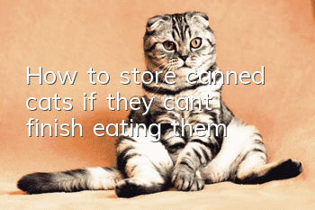 How to store canned cats if they can’t finish eating them?