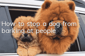 How to stop a dog from barking at people?