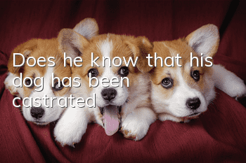 Does he know that his dog has been castrated?