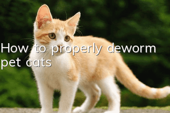 How to properly deworm pet cats?