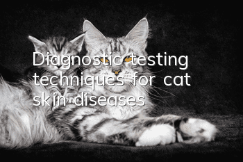 Diagnostic testing techniques for cat skin diseases