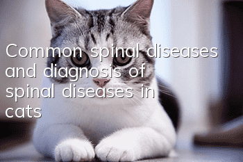 Common spinal diseases and diagnosis of spinal diseases in cats