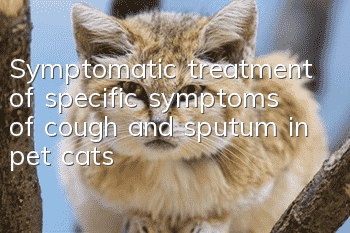 Symptomatic treatment of specific symptoms of cough and sputum in pet cats