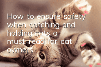 How to ensure safety when catching and holding cats, a must-read for cat owners!