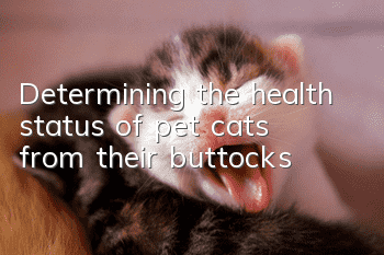 Determining the health status of pet cats from their buttocks