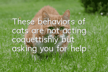 These behaviors of cats are not acting coquettishly, but asking you for help!