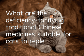 What are the deficiency-tonifying traditional Chinese medicines suitable for cats to replenish qi and blood?